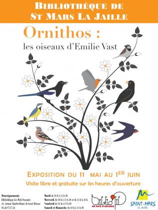 Ornithos, les oiseaux d'Emilie Vast