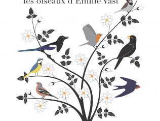 Ornithos, les oiseaux d'Emilie Vast